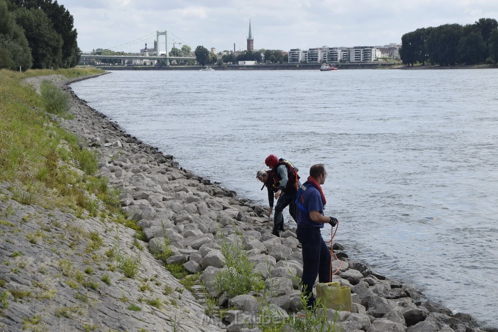 Uebung BF Taucher und Presse Koeln Zoobruecke Rhein P308.JPG - Miklos Laubert